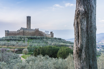 The Montecchio Castle is open to the public and was built in the ninth century and is located in...