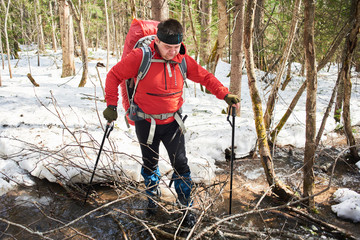 A man crossing a stream in a forest