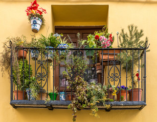Flower pots on a balcony