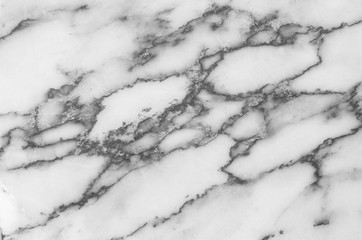 Closeup surface marble floor texture background in black and white tone