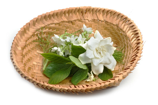 Cape Jasmine, Gardenia and Vallaris glabra flower in the basket,