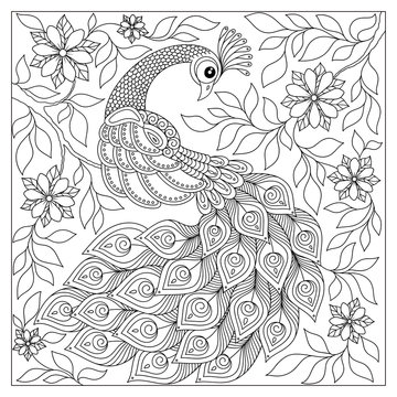 Hand drawn Peacock for anti stress Coloring Page