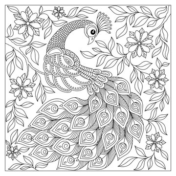 Vintage hand drawn pattern black and white doodle peacock.