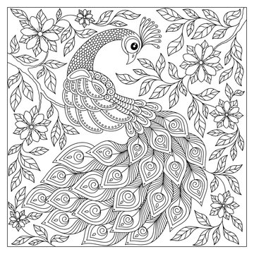 Vintage hand drawn pattern black and white doodle peacock.