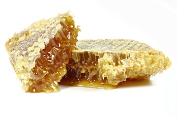 comb honey isolated on white background
