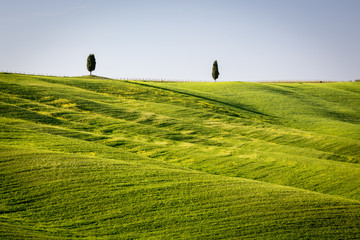Rolling landscape near San Quirico d´ Orcia, Tuscany, Italy - 109254318
