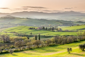 Tuscan landscape at sunrise near San Quirico d´ Orcia, Tuscany, Italy