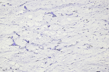 Closeup surface marble floor texture background