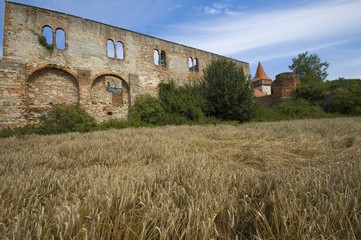 Fototapeta premium Cistercian Abbey in Sulejow