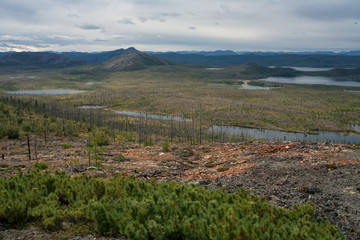 Fototapeta premium Numerous lakes in the valley. Oimyakon Highlands. Yakutia. Russia.