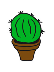 flowerpot balcony green ball ball soccer small round mini sweet cute cactus