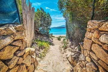 Tuinposter Afdaling naar het strand pad naar het strand op Sardinië