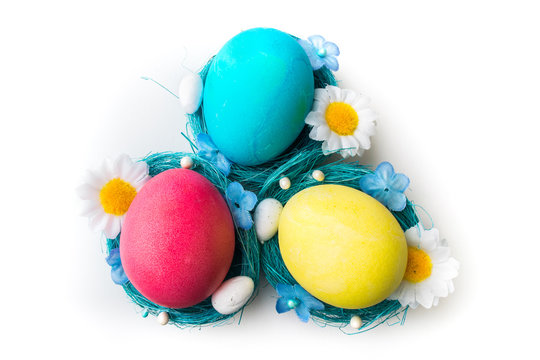 Colorful Easter eggs in blue nests on white background
