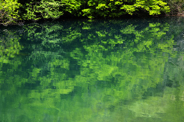 Beautiful Cetina river landscape in Croatia