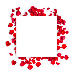 Romantic red rose petals square background