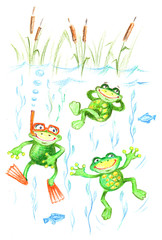 Funny frog. Comic illustration on a theme: Diving Drawing by hand