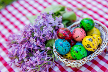 painted Easter quail eggs in a basket