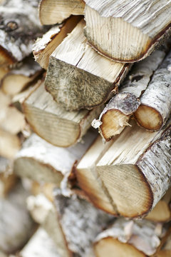 Fire wood, close-up