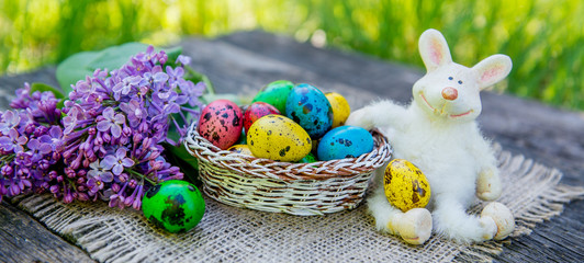 painted Easter eggs with bunny on grass background