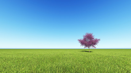 green flied of grass with red tree