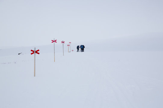 Winter landscape with trail markings