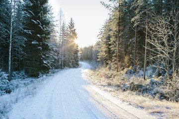 View of forest road in winter