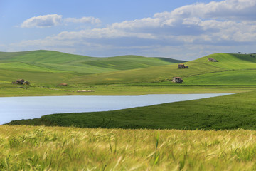 RURAL LANDSCAPE SPRING.Between Apulia and Basilicata: Lake Basentello.Poggiorsini (ITALY).Hilly...