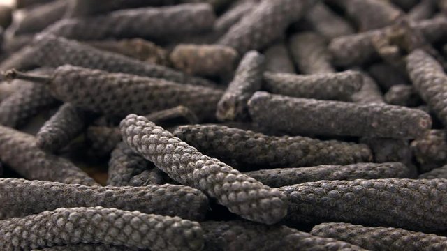 Portion of rotating Long Pepper as not loopable 4KUHD footage