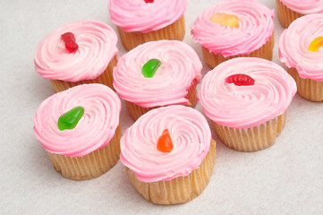 Pink cupcakes displayed on a white background