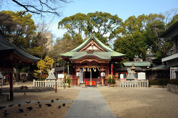 Fototapeta premium Hattori-Sumiyoshi jinja-2 