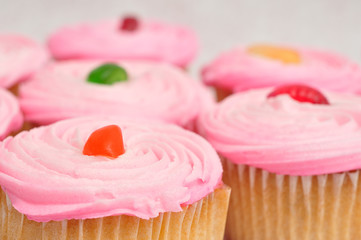 Pink cupcakes displayed on a white background