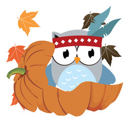 Vector Set of Thanksgiving Themed Owls