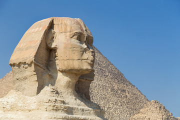 Fototapeta na wymiar Head of the Great Sphinx of Giza, Egypt.