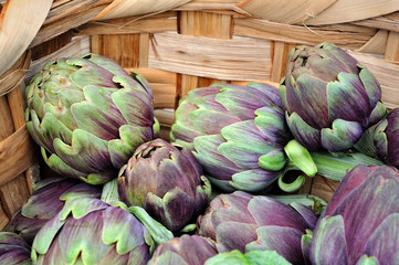 Obraz premium Roman artichokes in wicker basket close