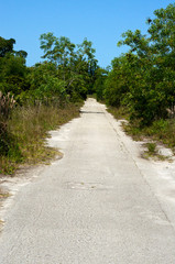 Fototapeta na wymiar long straight abandoned road