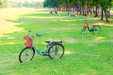 Fototapeta premium Bicycle on green grass in the park