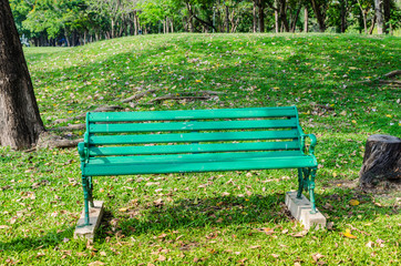 green  bench on green grass background in the park