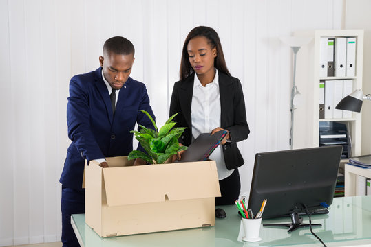 Two Businesspeople Packing Plant And Folders In Cardboard Box