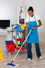 Female Worker Cleaning Floor In Office