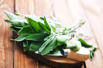 fresh sage