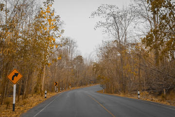 A country road with trees on either side