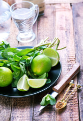 ingredients for mojito