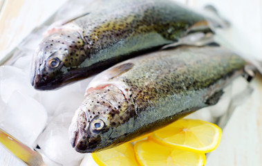 raw fish