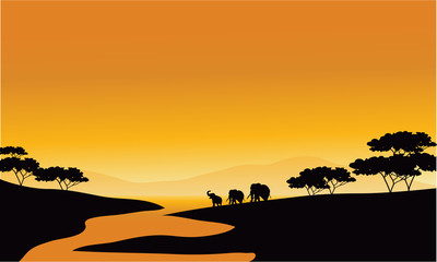 Family elephant of silhouette in the river