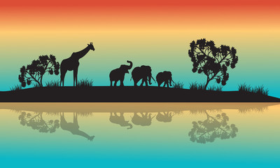 Fototapeta na wymiar Silhouettes of african animals in morning