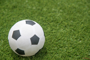 Fototapeta premium ball on grass