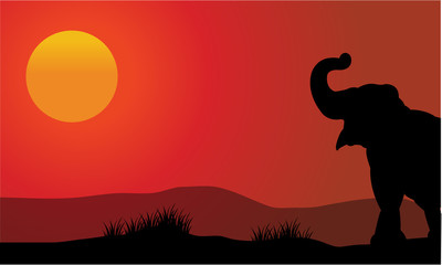 Fototapeta na wymiar Silhouette of elephant at sunset with sun