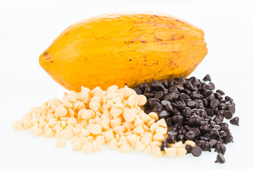 Fresh cocoa pod and chocolate chips close up