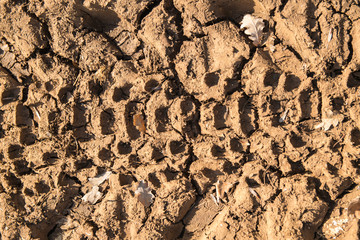 Imprint in the mud left by the wheel of a tractor.