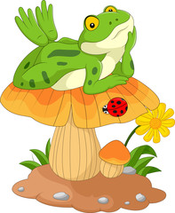 cartoon frog laying down on the mushroom